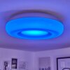 Plafonnier iDual Daphnis LED Argenté, Blanc, 1 lumière, Télécommandes, Changeur de couleurs