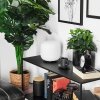 Lampe de table iDual Thyme LED Nickel mat, 1 lumière, Télécommandes, Changeur de couleurs