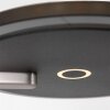 Lampadaire à vasque Steinhauer Turound LED Noir, 1 lumière