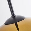 Suspension Verre 15 cm, 20 cm, 25 cm Koyoto Or, Clair, 3 lumières