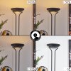 Lampadaire à vasque  Rom LED Noir, 2 lumières