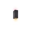 Applique murale Philips WiZ Up&Down LED Noir, 2 lumières, Changeur de couleurs