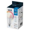 Philips WiZ LED E27 18,5 watt 2200-6500 kelvin 2452 lumen
