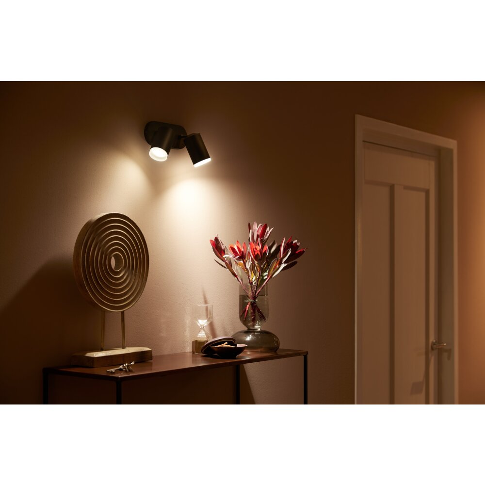 Plafonnier Philips Hue Fugato LED Noir, 2 lumières, Changeur de couleurs main product photo