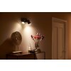 Plafonnier Philips Hue Fugato LED Noir, 2 lumières, Changeur de couleurs