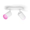 Plafonnier Philips Hue Fugato LED Blanc, 2 lumières, Changeur de couleurs
