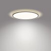 Plafonnier Philips Ozziet LED Noir, Blanc, 1 lumière