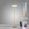 Lampadaire Paul Neuhaus Q-ETIENNE LED Laiton, 1 lumière, Télécommandes