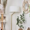 Lampadaire  Manhenha Laiton, 1 lumière