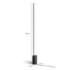 Lampadaire Philips Hue Gradient Signe LED Noir, 1 lumière
