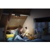 Plafonnier Philips Hue Runner LED Noir, 2 lumières, Télécommandes