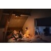 Plafonnier Philips Hue Runner LED Noir, 2 lumières, Télécommandes