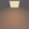 Plafonnier Philips Touch SceneSwitch LED Blanc, 1 lumière
