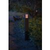 Borne lumineuse Philips Hue White Fuzo LED Noir, 1 lumière