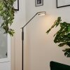 Lampadaire  Huallilemu LED Anthracite, 1 lumière Lampadaire  Huallilemu LED Anthracite, 1 lumière