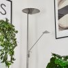 Lampadaire à vasque  Murca LED Nickel mat, 2 lumières
