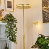 Lampadaire à vasque  Huallilemu LED Laiton, 2 lumières