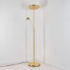 Lampadaire à vasque  Huallilemu LED Laiton, 2 lumières