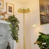 Lampadaire à vasque  Huallilemu LED Laiton, 2 lumières