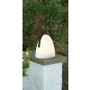 Lampe à poser Eglo COLLIRADOS LED Noir, 2 lumières