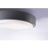 Plafonnier Paul Neuhaus Q-LENNY LED Anthracite, 1 lumière, Télécommandes, Changeur de couleurs