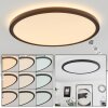 Plafonnier  Sasinhosa LED Noir, 1 lumière, Télécommandes