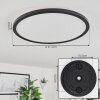 Plafonnier  Sasinhosa LED Noir, 1 lumière, Télécommandes