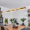 Suspension  Pompu LED Écru, Blanc, 1 lumière