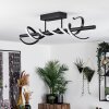 Plafonnier  Alvarim LED Noir, 1 lumière
