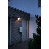 Applique murale d'extérieur LEDVANCE ENDURA® Acier inoxydable, 1 lumière, Détecteur de mouvement