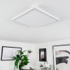 Plafonnier Sasinhosa LED Blanc, 1 lumière, Télécommandes