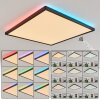 Plafonnier Hortinhas LED Noir, 1 lumière, Télécommandes, Changeur de couleurs
