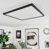 Plafonnier Hortinhas LED Noir, 1 lumière, Télécommandes, Changeur de couleurs