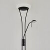 Lampadaire à vasque Chanlus LED Noir, 1 lumière