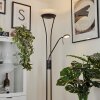 Lampadaire à vasque Chanlus LED Noir, 1 lumière