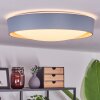 Plafonnier Louea LED Brun, Gris, Couleur bois, 1 lumière