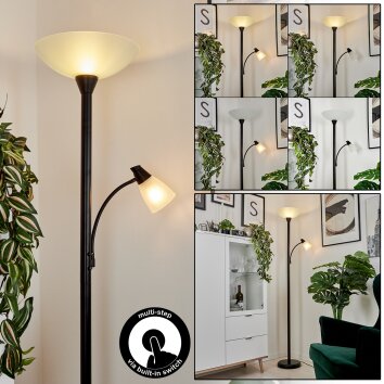 Lampadaire à vasque Phong LED Noir, 2 lumières Lampadaire à vasque Phong LED Noir, 2 lumières