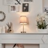Lampe de table Paao Nickel mat, 1 lumière