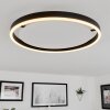 Plafonnier Barril LED Blanc, 1 lumière