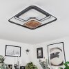 Plafonnier Kassambene LED Anthracite, Écru, 1 lumière