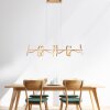 Suspension Leuchten Direkt CURLS LED Laiton, 4 lumières
