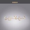 Suspension Leuchten Direkt CURLS LED Laiton, 4 lumières