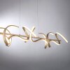 Suspension Leuchten Direkt CURLS LED Laiton, 4 lumières