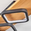 Plafonnier Pompu LED Écru, Noir, 1 lumière