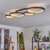 Plafonnier Rodekro LED Noir, Blanc, 1 lumière
