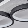 Plafonnier Rodekro LED Noir, Blanc, 1 lumière