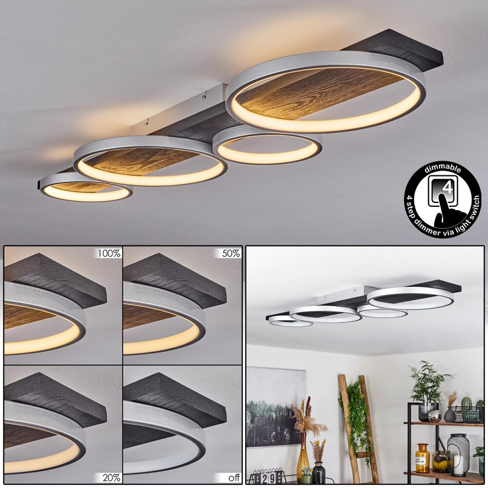 Plafonnier Rodekro LED Noir, Argenté, 1 lumière main product photo