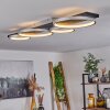 Plafonnier Rodekro LED Noir, Argenté, 1 lumière