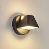 Applique murale d'extérieur Villermon LED Noir, 1 lumière