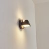 Applique murale d'extérieur Villermon LED Noir, 1 lumière